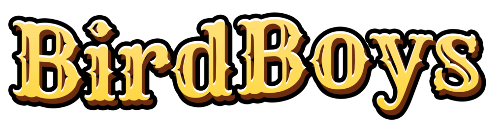 birdboys logo